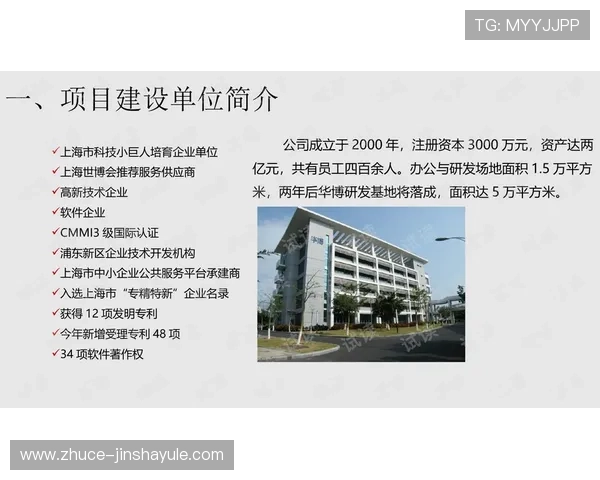 金沙网官网最新入口，全面介绍金沙网的官方平台及其安全保障措施