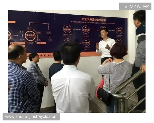 金沙贵宾会线路检测中心常见故障排查指南，帮助玩家快速解决网络连接问题